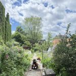 Hollenback Community Garden