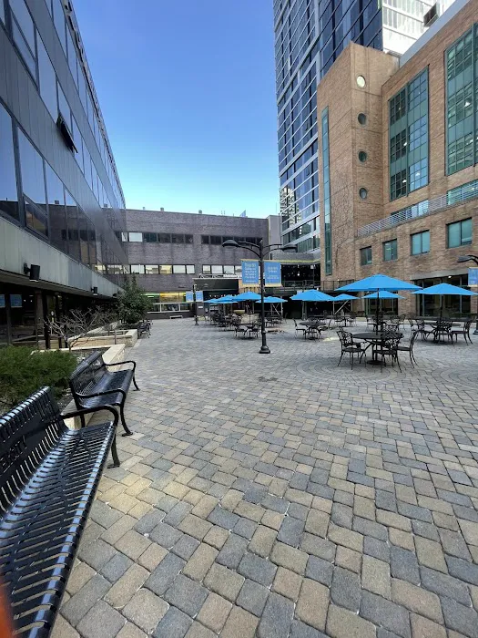 Shark Nation Courtyard Picture 1