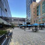 Shark Nation Courtyard