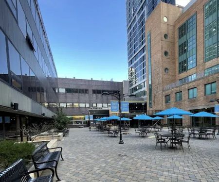 Shark Nation Courtyard