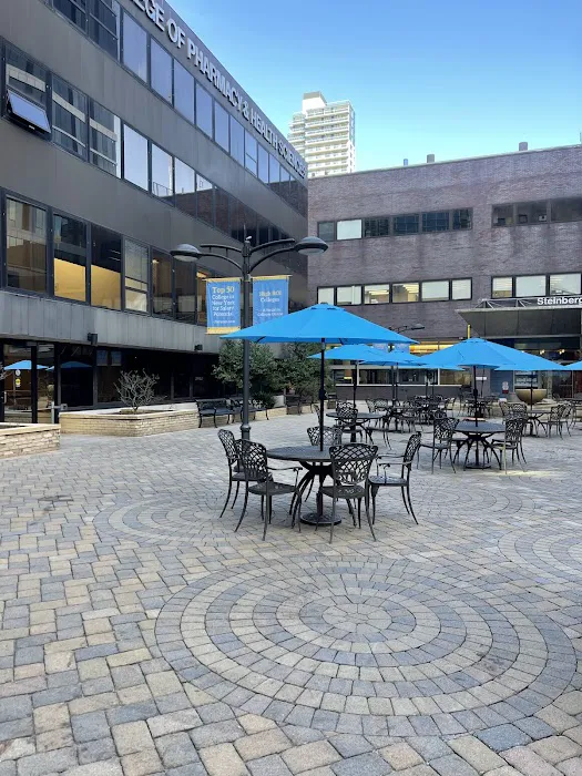 Shark Nation Courtyard Picture 5