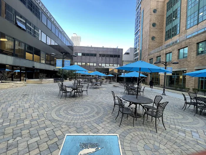Shark Nation Courtyard Picture 4