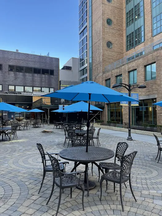 Shark Nation Courtyard Picture 6