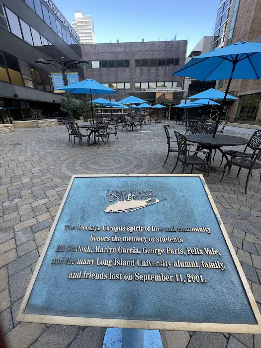 Shark Nation Courtyard Picture 3