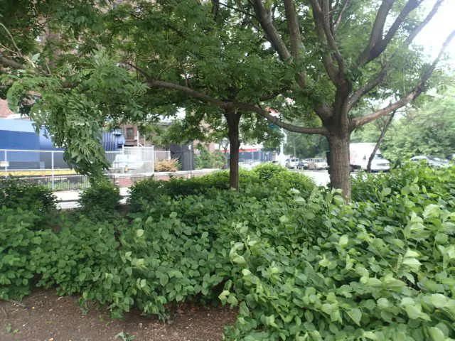 Arbor Place Picture 7