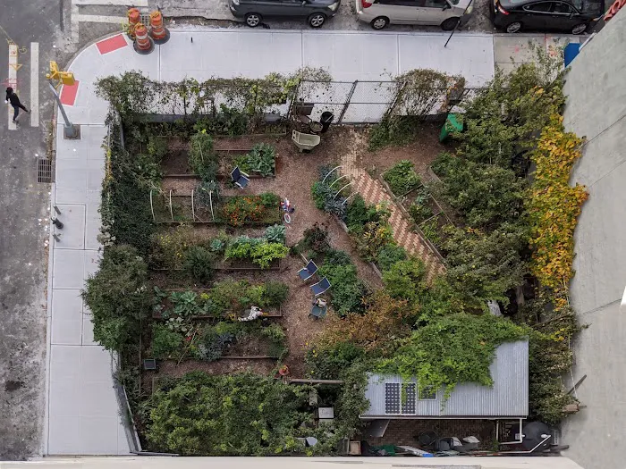 Vinegar Hill Community Garden Picture 8
