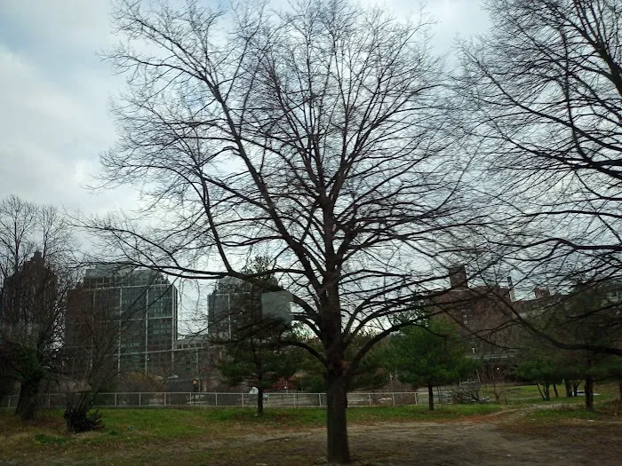 Trinity Park Picture 10
