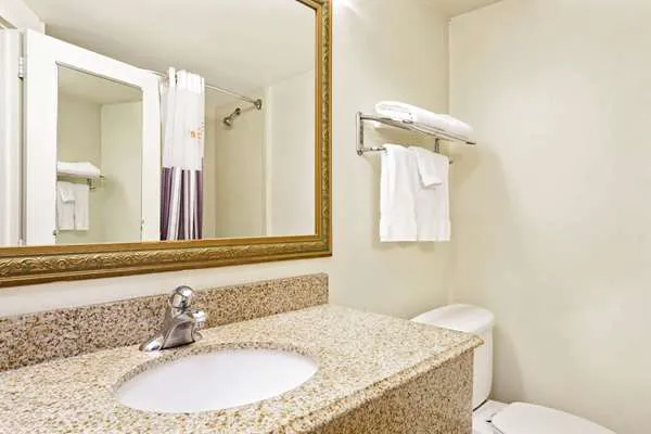 La Quinta Inn & Suites by Wyndham Stamford / New York City Picture 8