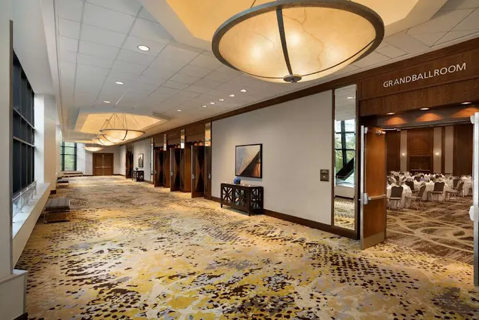 Hilton Stamford Hotel & Executive Meeting Center Picture 9