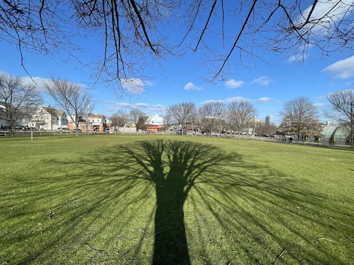 Hatch Field Picture 8