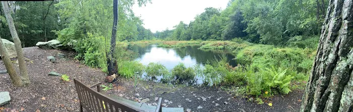 Old Stone Bridge Wild Life Sanctuary Picture 1