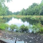Old Stone Bridge Wild Life Sanctuary