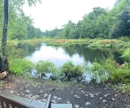 Old Stone Bridge Wild Life Sanctuary