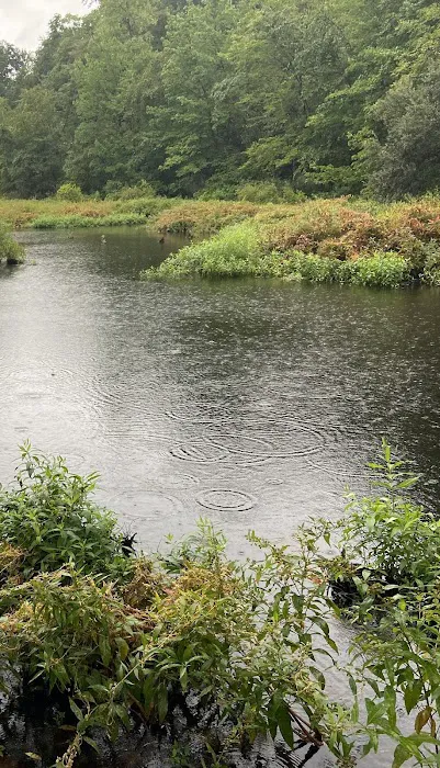 Old Stone Bridge Wild Life Sanctuary Picture 4