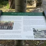 Woolen Mill Pond Preserve