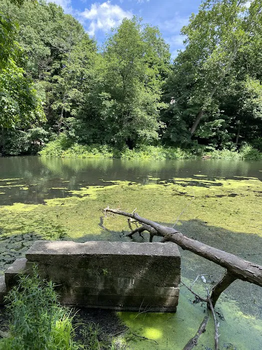 Woolen Mill Pond Preserve Picture 2