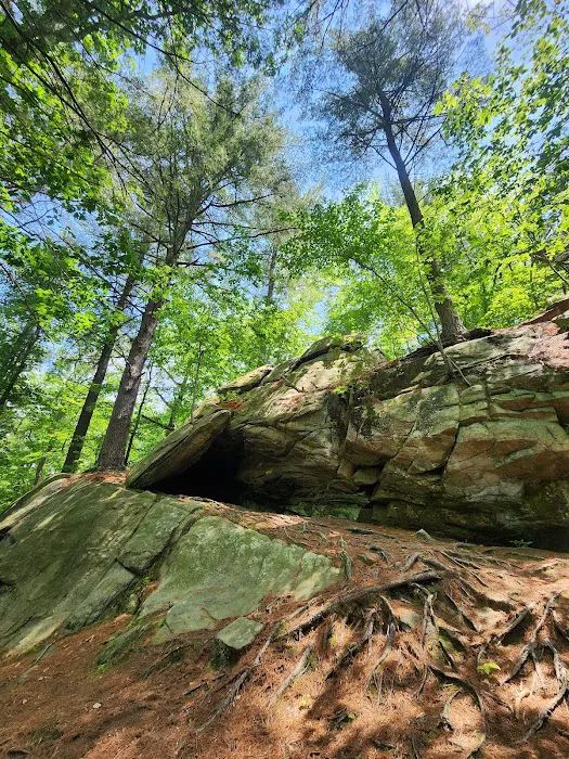 Mianus River Park Picture 4