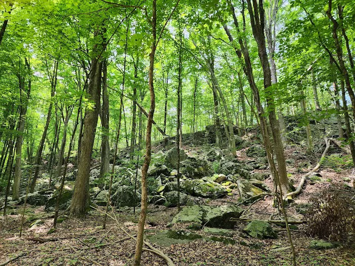 Mianus River Park Picture 6