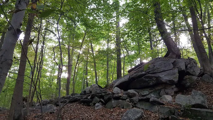 Mianus River Park Picture 3