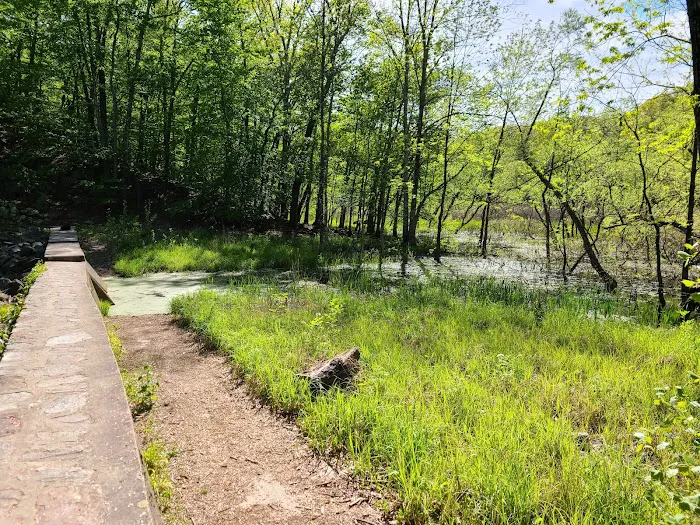 Mianus River Park Picture 2