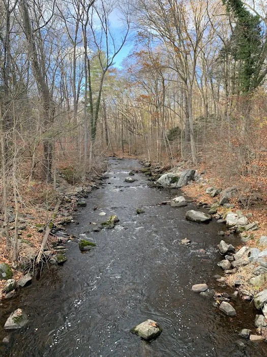 Mianus River Park Picture 1