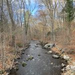 Mianus River Park