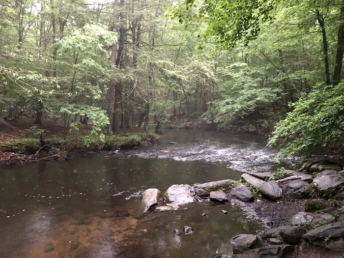 Mianus River Park Picture 9