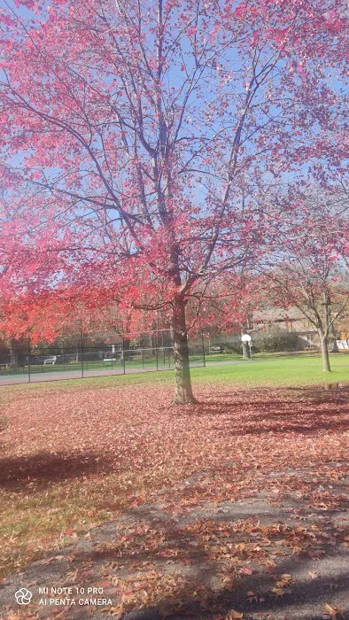 McKinley Park Picture 6