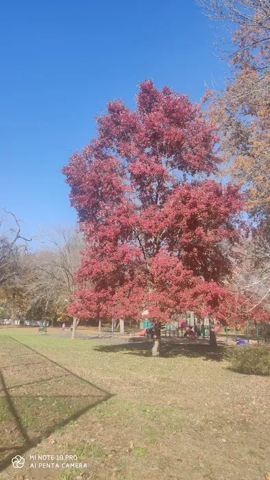 McKinley Park Picture 5