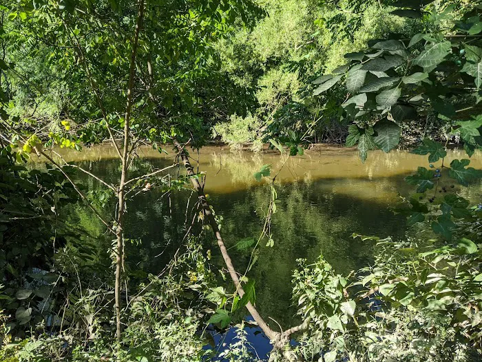 Bergen County Rochelle Park Picture 6