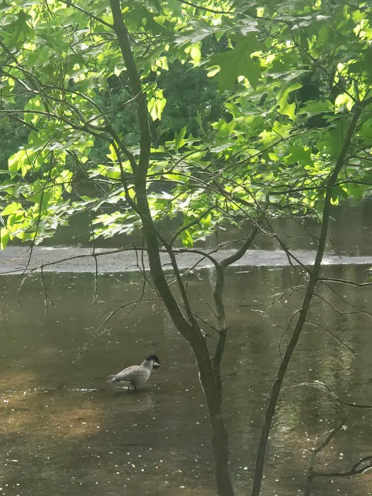 Bergen County Rochelle Park Picture 10