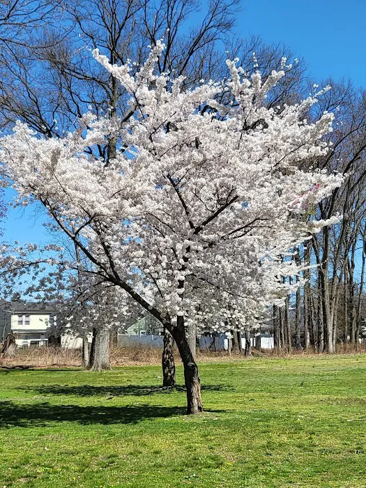Saddle River County Park Picture 6