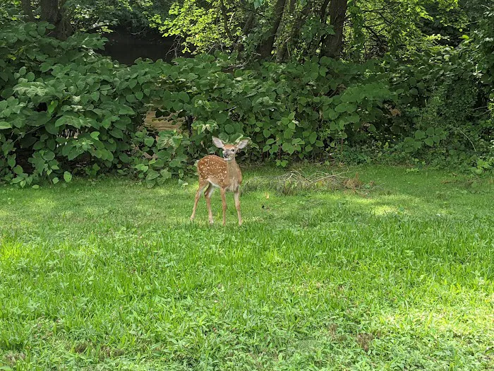Saddle River County Park Picture 9