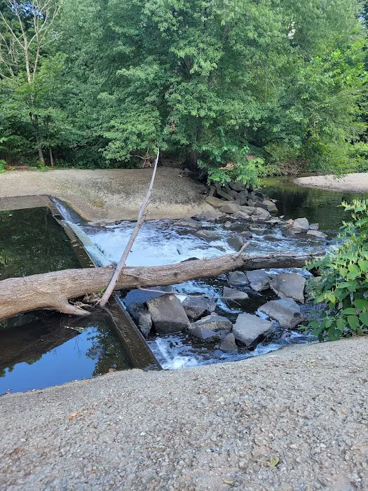 Park Picture 1