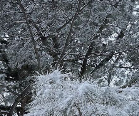 Saddle River County Park - Otto C. Pehle Area