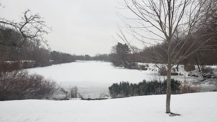 Saddle River County Park - Otto C. Pehle Area Picture 3
