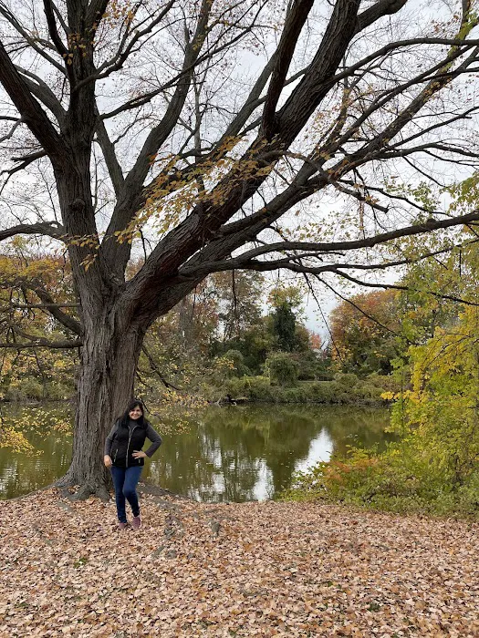 Saddle River County Park - Otto C. Pehle Area Picture 9