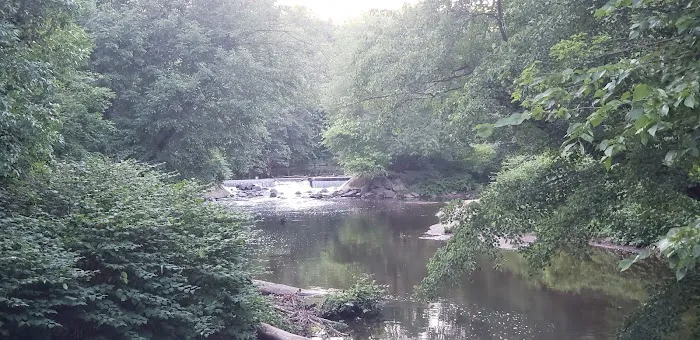Saddle River County Park - Otto C. Pehle Area Picture 6