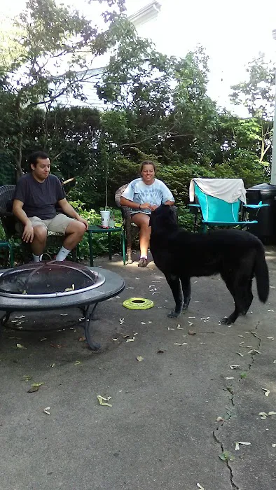 Bergen County Rochelle Park Picture 1