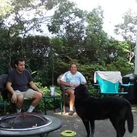 Bergen County Rochelle Park ico