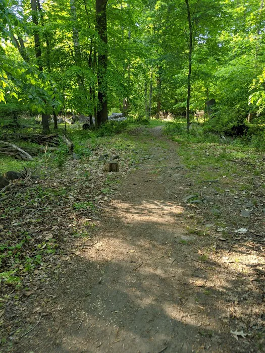 Grove Park Picture 2