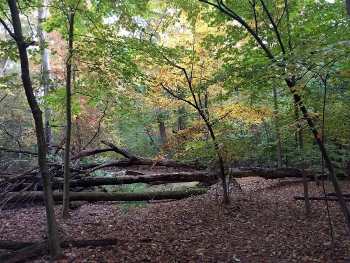 Grove Park Picture 7