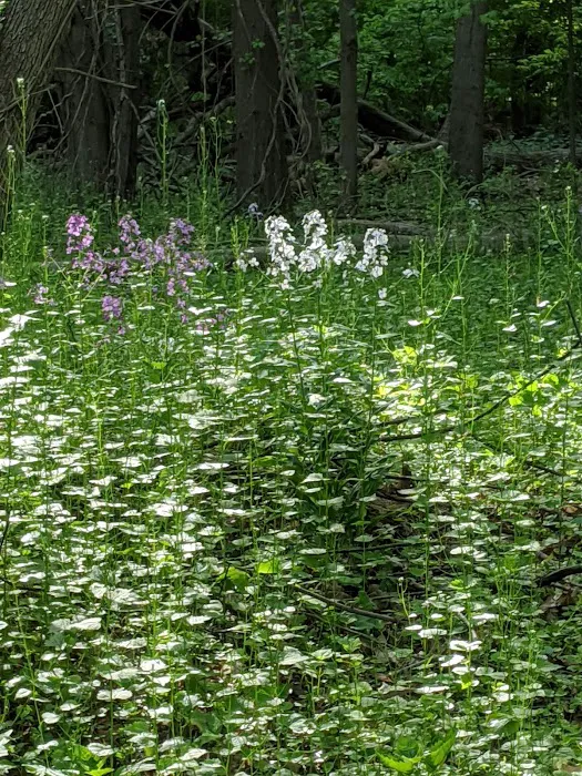 Grove Park Picture 5