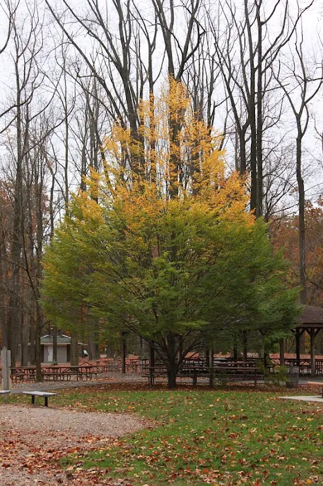 Saddle River Park - Dunkerhook Area Picture 2