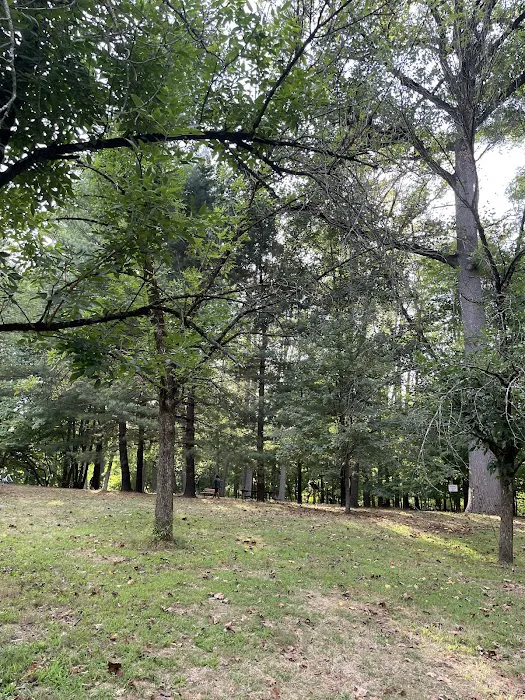 Saddle River Park - Dunkerhook Area Picture 10