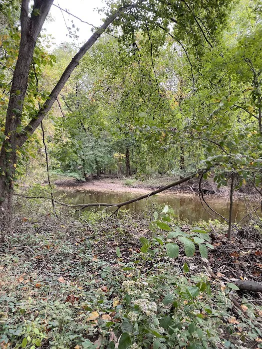Saddle River Park Waterfall Picture 9