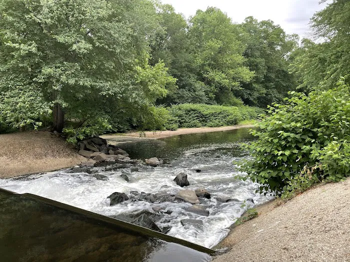 Saddle River Park Waterfall Picture 5