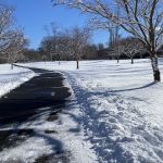 Saddle River Park Waterfall