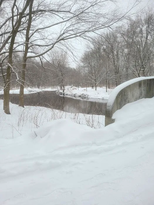 Saddle River Park Waterfall Picture 6