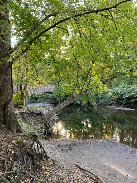 Saddle River Park Waterfall Picture 8